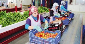 Fruit and vegetable market in Turkey (DHA photo)