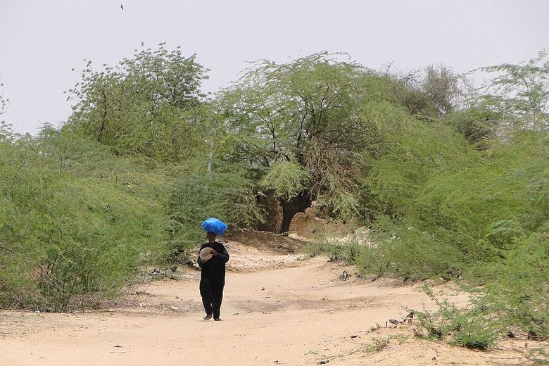Decolonizing in the Sahel Region